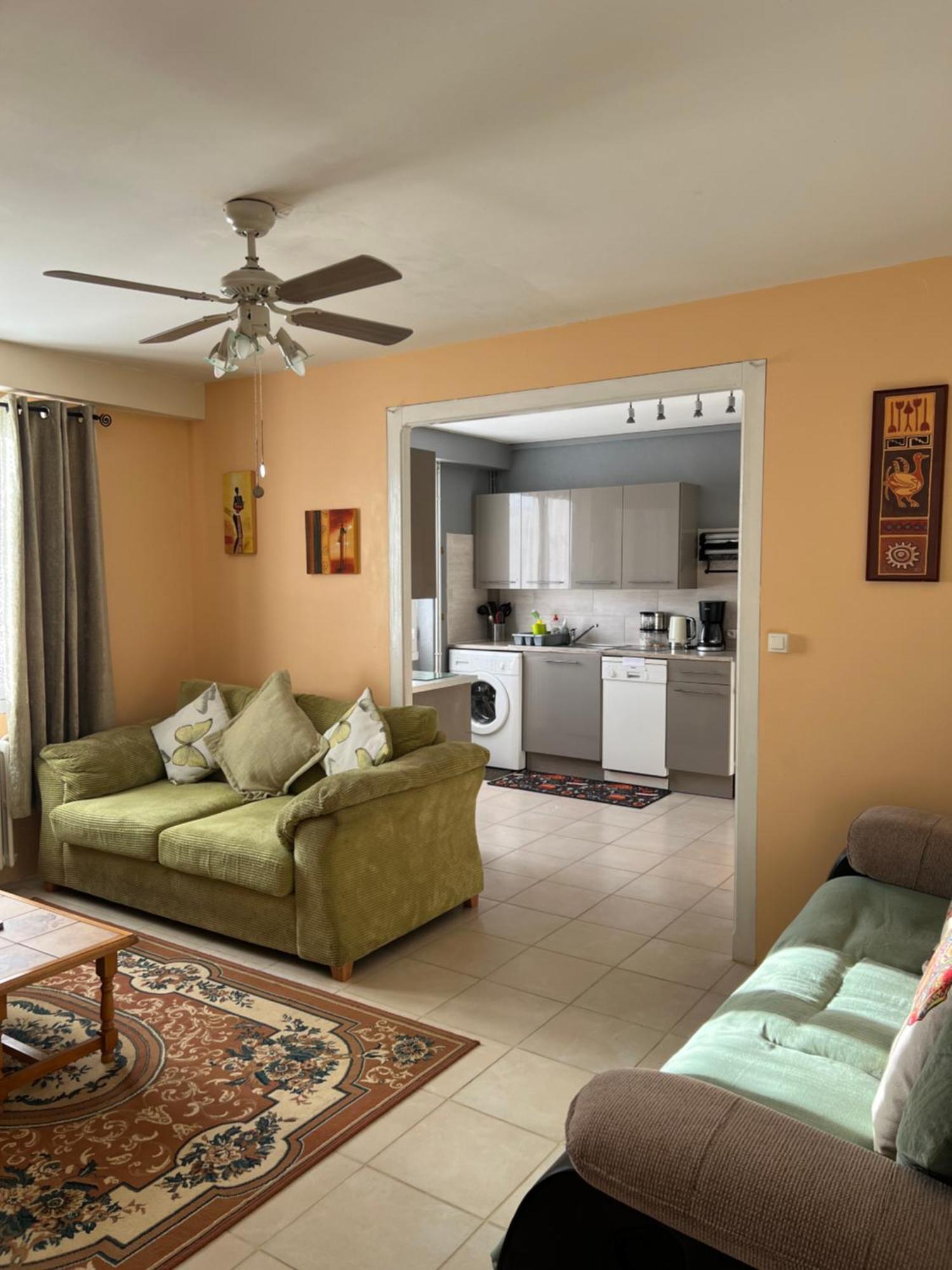 Gite Du St Martin Apartman Oradour-Fanais Kültér fotó